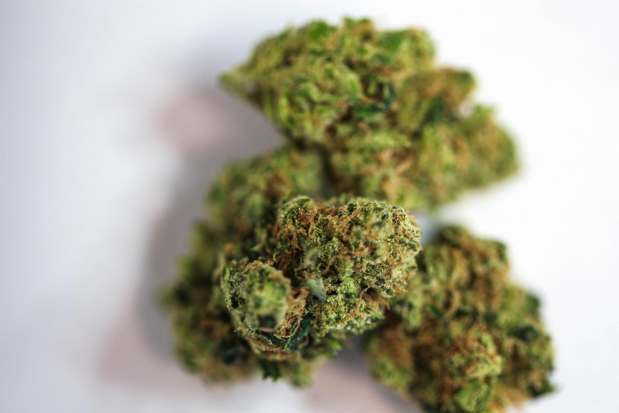 Buy weed strains online Italy – Exotic, Top-Shelf Cannabis Delivered to Your Door